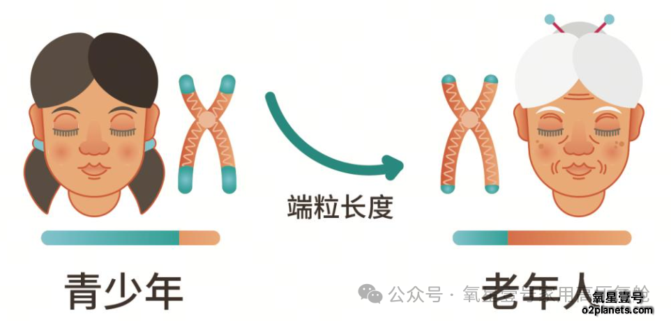氧星壹号家用高压氧舱：连泰国选美冠军都pick的”状态管理“神器!