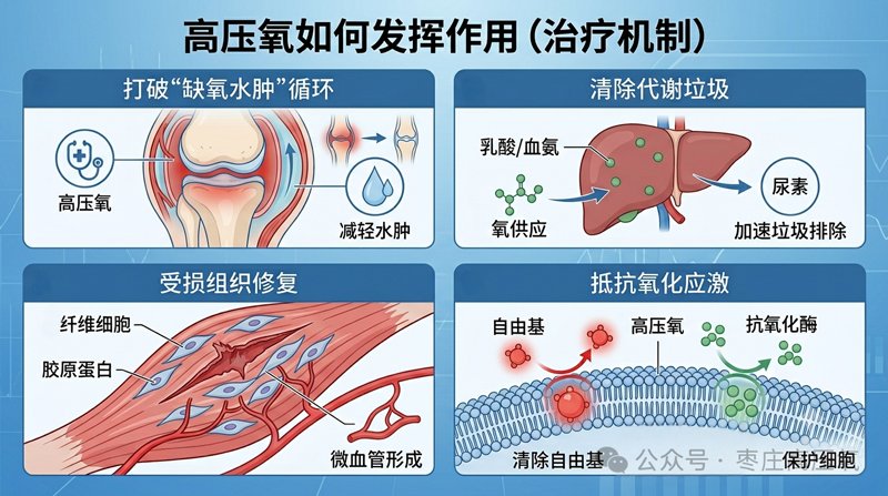 高压氧与运动性损伤