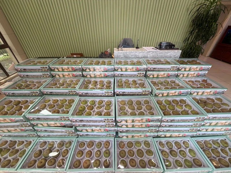 梨香入夏 自在安康 上海宝邦为全体员工送福利